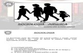 Clase de Sociologia Juridica