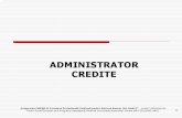 Administrator credite -analiza_prov (2).pdf