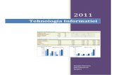 180172689 Tehnologia Informatiei PDF