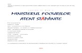 MINISTERUL FOCURILOR ATENT STĂPÂNITE  (comedie)