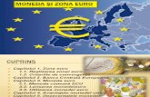 Moneda şi zona euro