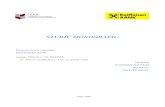 Studiu Monografic Raiffeisen Bank, Agentia Mircea Cel Batran, Iasi