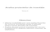 TEMA 6 Analiza Proiectelor de Investitii