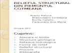 Relieful Structural Din Piemontul Cotmeana