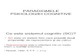Paradigmele PsihologieiCognitive