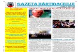 Gazeta Hartibaciului August 2013
