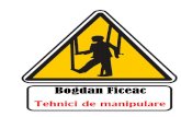 Bogdan Ficeac - Tehnici de Manipulare v.0.1