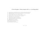 Esofagul - Patologia Chirurgicala a Esofagului