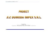 Studiu de Caz SC Dumoda Impex SRL