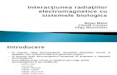 Interacţiunea radiaţiilor electromagnetice cu sistemele biologice.ppt