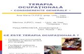 44703154 Seminar Autism Timisoara II Rom
