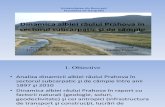 Dinamica albiei râului Prahova