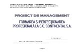 Formarea Si Perfectionarea Profesionala La SC Continental SA