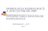 curs radiodiagnostic medicina dentara, INTERPRETAREA IMAGINILOR RADIOGRAFICE