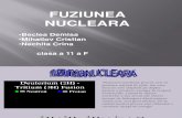 Fuziunea Nucleara Si Armamentul Nuclear