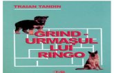 Traian Tandin-Grind, Urmasul Lui Ringo