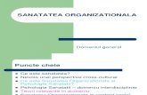 Sanatate Organizationala - CURS 1