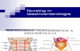 Nursing in Gartroenterologie 2
