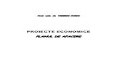 Proiecte Economice_T Foris
