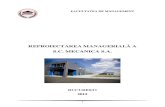 MECANICA S.A- STUDIU DE CAZ.pdf