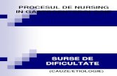 133216065 Procesul de Nursing Gastro