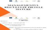 Managementul riscului pe pietele mature