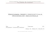 Tema de Casa - Gestiunea Termoenergetica a Proceselor Industriale2