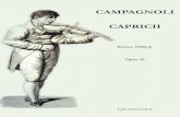 Campagnoli - Capricii pt. violă (ed. a II-a)