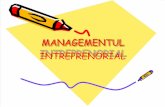 Managementul Intreprenorial +Pi Intraprenorial