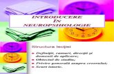 Lectia 1 Introducere in Neuropsihologie 01-02-2012