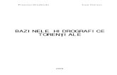 Bazine Hidrigrafice Torentiale-calcul Debit