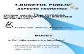 buget finante publice