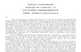 Radu Tudoran 4 Victoria Neinaripata