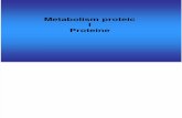 Metabolismul Proteic I