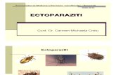 Ecto Paraziti