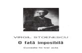 Virgil Stoenescu - O fata imposibila