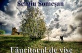 Sergiu Somesan - Fauritorul de Vise