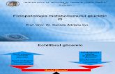 Fiziopatologia Metabolismului Glucidic - Curs 1
