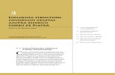 Corbi de Piatra - Studiu Interdisciplinar - Influenţa structurii covorului vegetal asupra bisericii Corbii de Piatră (Cap. 3)