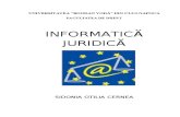 Informatica Juridica IFR - Sidonia Cernea