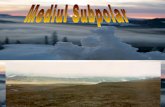 Geo Mediul+Subpolar