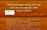 Managementul Sectorului de Servire
