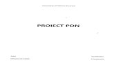 Proiect PDN Mitrache Alin