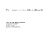 Proiect Macroeconomie Fenomene Ale Globalizarii