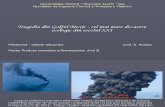 Dezastru Ecologic- Golful Mexic (Sibechi Alexandra