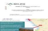 PDS Compania Minera Milpo