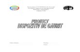 Proiect EF