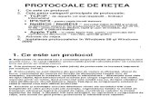 6-PROTOCOALE DE RETEA