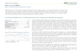 Raport de Companie Danone Octombrie 2011