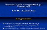 Semiologie Ecografica Si Artefacte R_ Arafat (1)